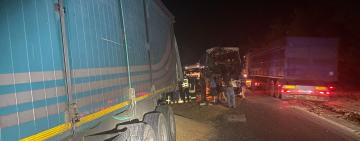 11 постраждалих, з них 6-діти: поліція прокоментувала жахливе ДТП за участю автобуса і фури на трасі Одеса-Рені 